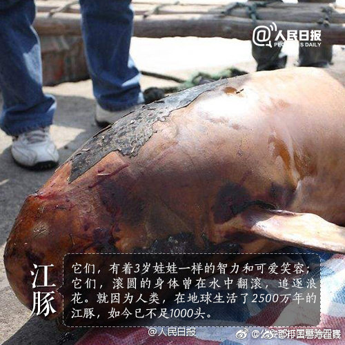 圆滚地球变四方游戏有什么特色内容