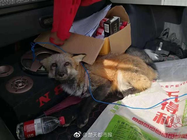 银河破裂者怎么好操作