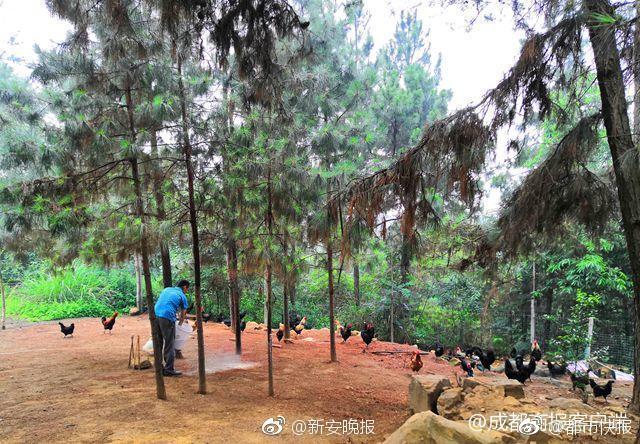 喋血复仇荒废弃置关卡通关需要注意什么