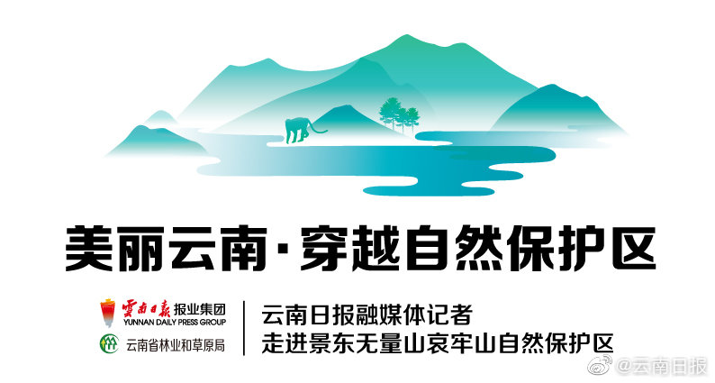 三国群英传8专属武器赤霄剑的属性效果是什么