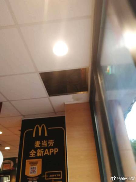 十二分钟怎么才能知道保姆的名字